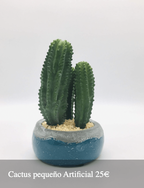 Plantas Bloomingday Flowers