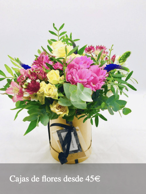Flores Bloomingday Flowers