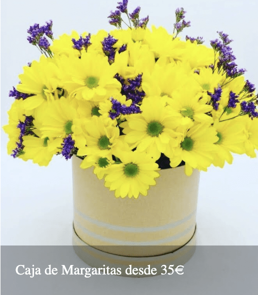 Flores Bloomingday Flowers