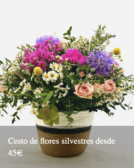 Flores Bloomingday Flowers